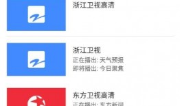 小米员工最新爆料视频播放,揭秘视频播放背后的技术秘密！”
